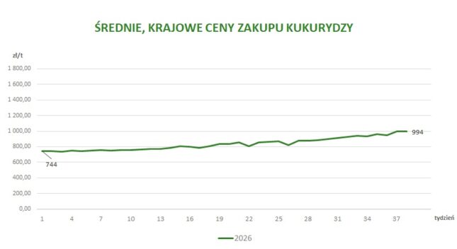 Średnie, krajowe ceny zakupu kukurydzy