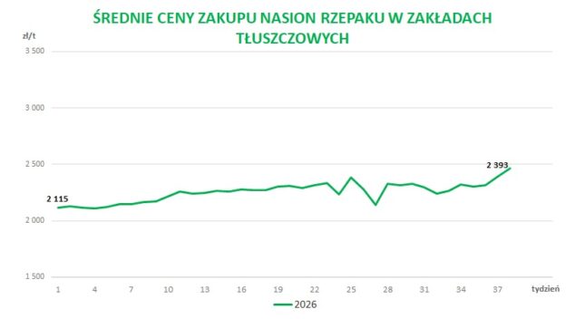 Średnie ceny zakupu nasion rzepaku w zakładach tłuszczowych