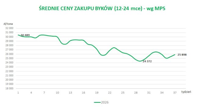 Średnie ceny zakupu byków (12-24 m-ce) wg MPS