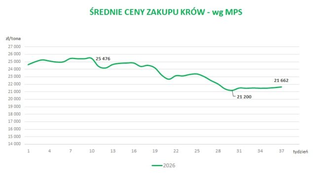 Średnie ceny zakupu krów - wg MPS