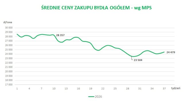 Średnie ceny zakupu bydła ogółem - wg MPS