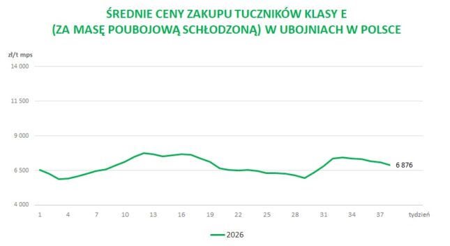 Średnie ceny zakupu tuczników klasy E (za masę poubojową schłodzoną) w ubojniach w Polsce
